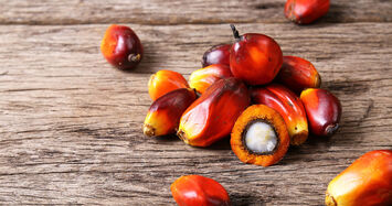 Article banner Image Yield Equivalent Position