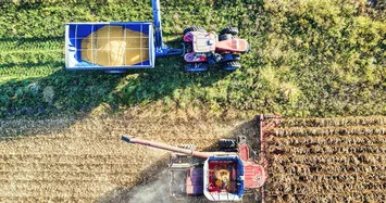 Pexels tomfisk 10838610